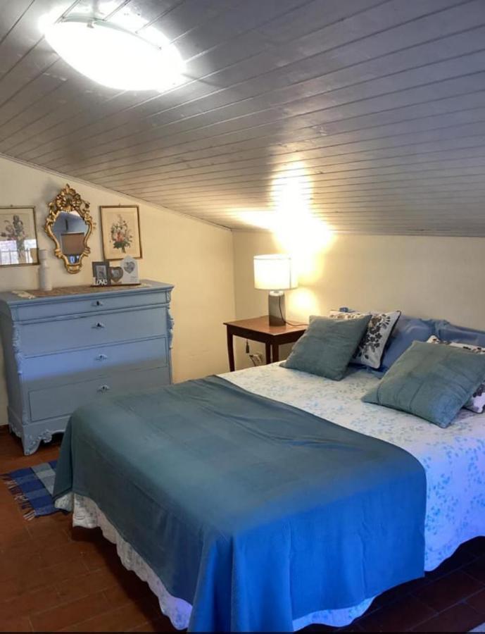 Appartamento Lussuoso 2 In Villa Riccardo 巴尔加 外观 照片